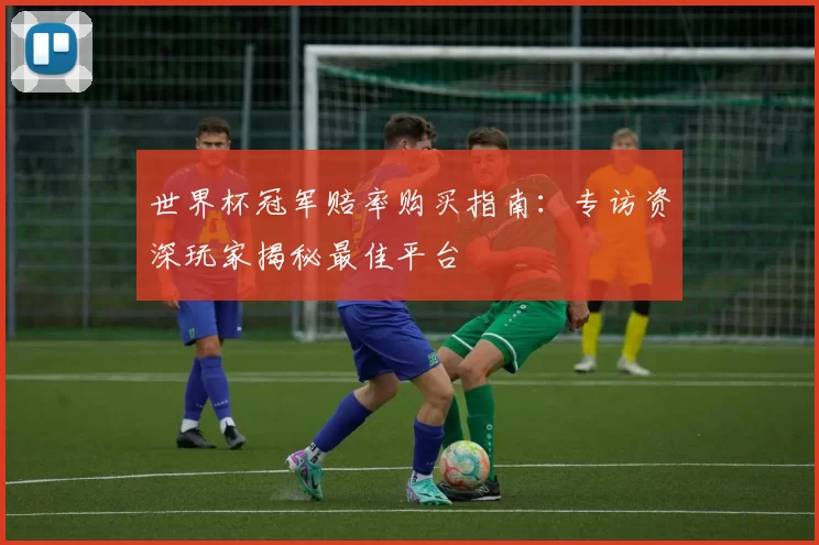 世界杯冠军赔率购买指南：专访资深玩家揭秘最佳平台