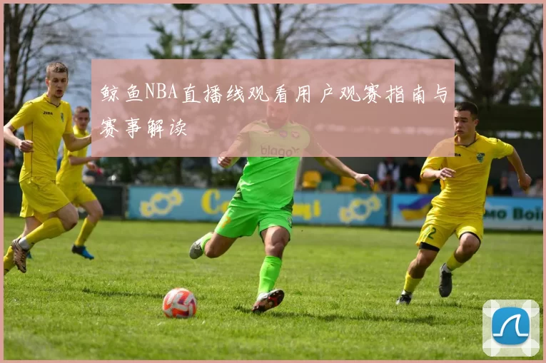 鲸鱼NBA直播线观看用户观赛指南与赛事解读