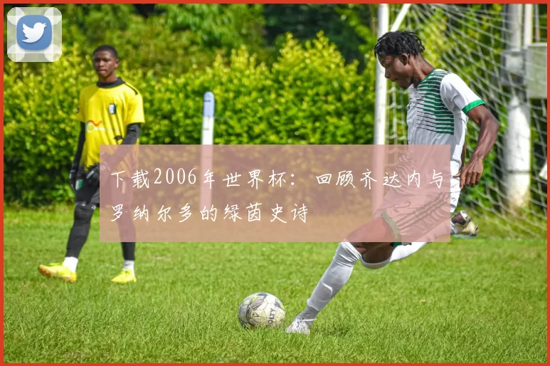 下载2006年世界杯：回顾齐达内与罗纳尔多的绿茵史诗