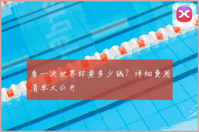 看一次世界杯要多少钱？详细费用清单大公开
