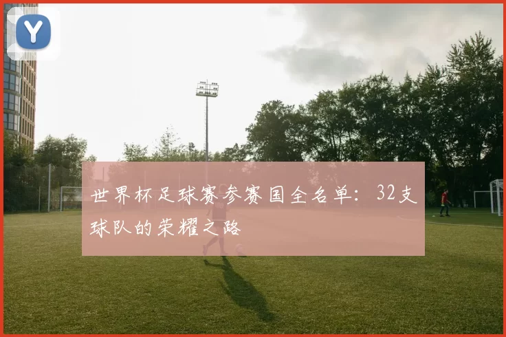 世界杯足球赛参赛国全名单：32支球队的荣耀之路