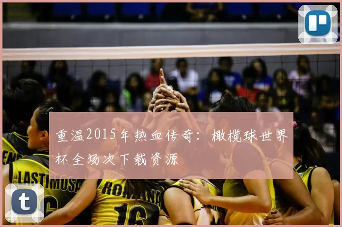 重温2015年热血传奇：橄榄球世界杯全场次下载资源