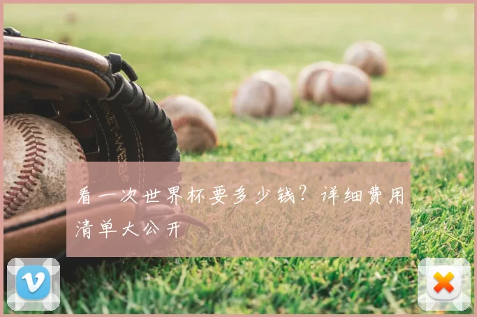看一次世界杯要多少钱？详细费用清单大公开