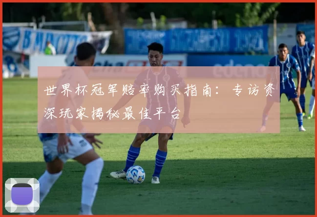 世界杯冠军赔率购买指南：专访资深玩家揭秘最佳平台