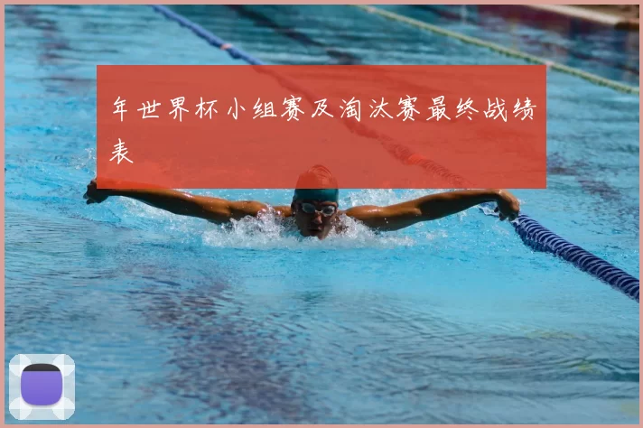 年世界杯小组赛及淘汰赛最终战绩表