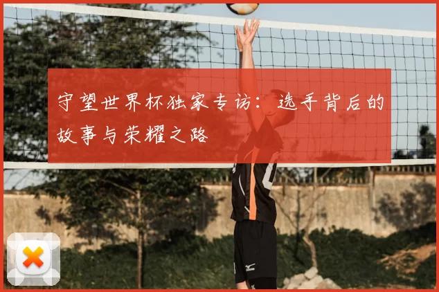 守望世界杯独家专访：选手背后的故事与荣耀之路