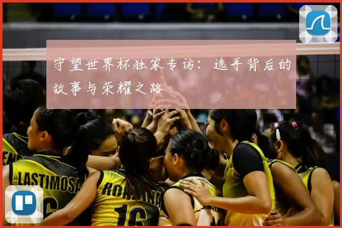 守望世界杯独家专访：选手背后的故事与荣耀之路