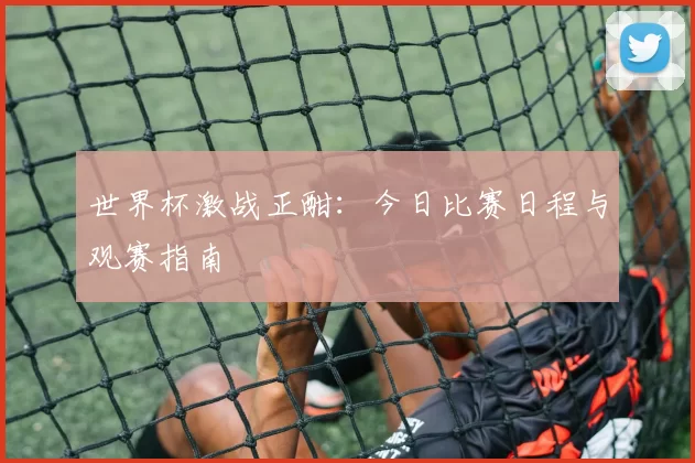 世界杯激战正酣:今日比赛日程与观赛指南
